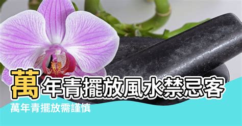 遺照可以放客廳嗎|遺照禁忌：客廳擺放遺照的風水秘訣 